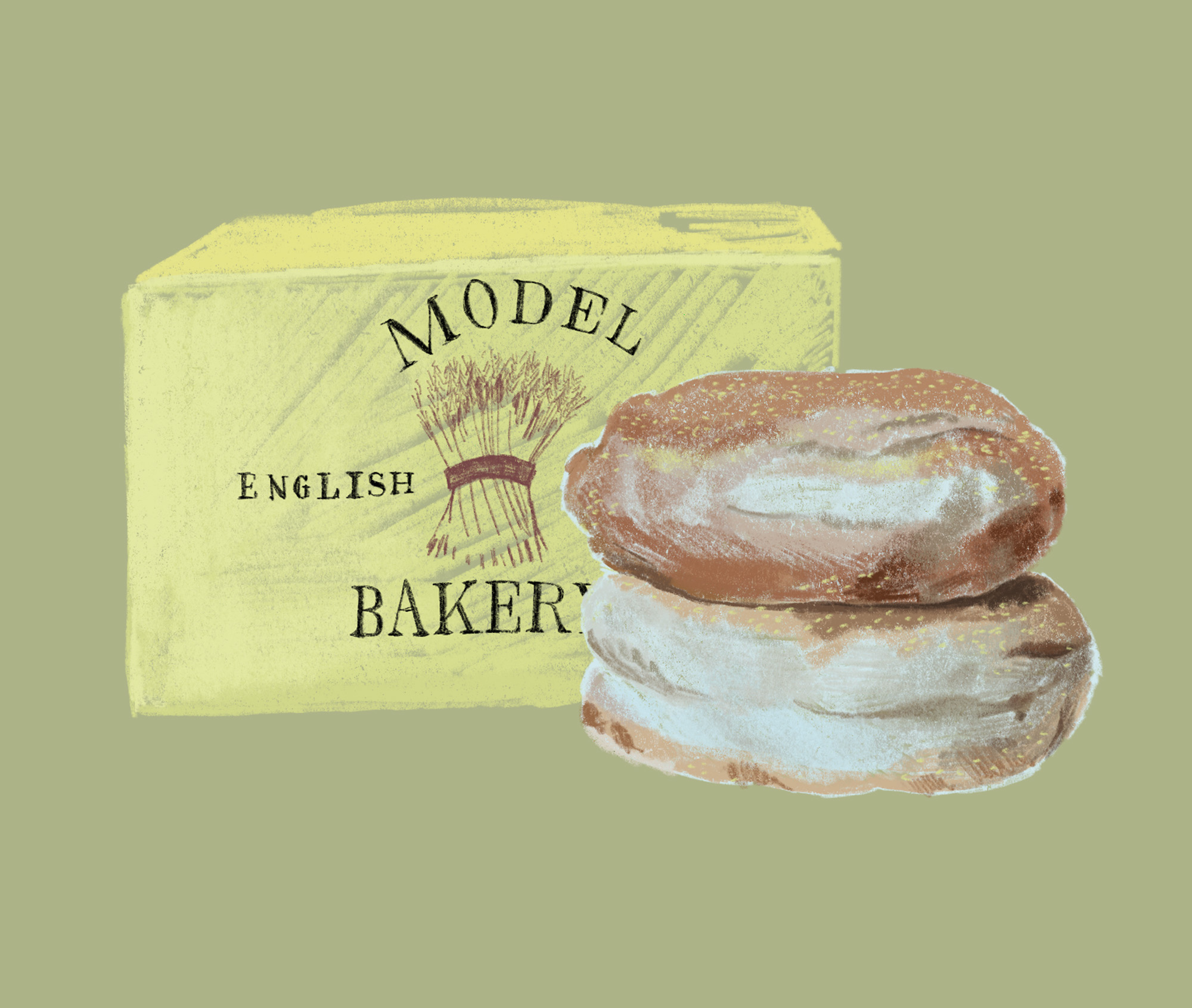 Model Bakery English Muffins